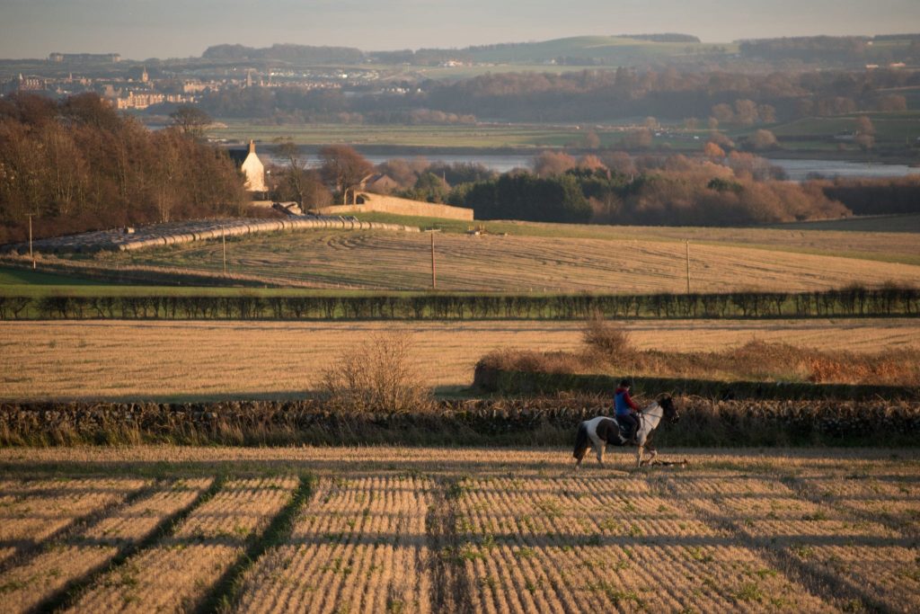 countryside fields