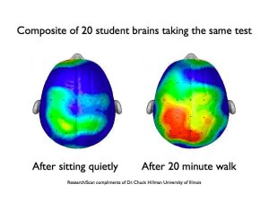 benefits of exercise on brain health