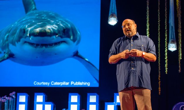 David Gallo: Underwater Astonishments