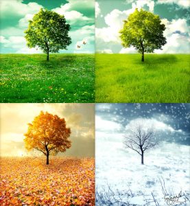 four seasons