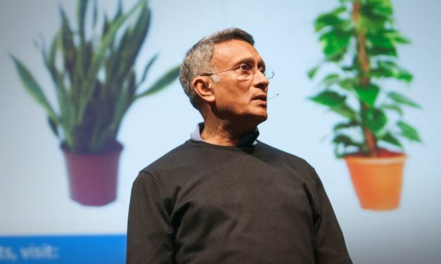 How to Grow Fresh Air