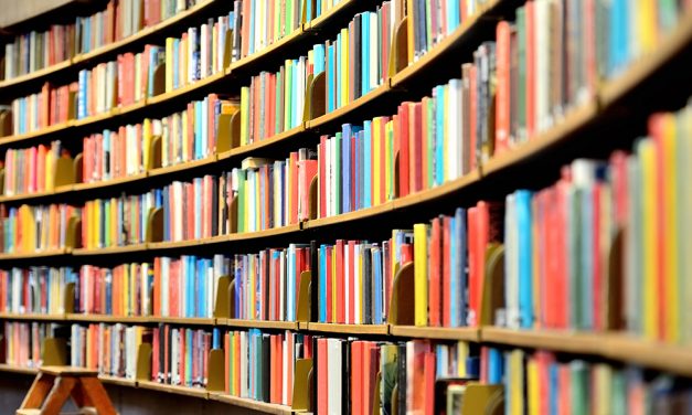 Describe a Book You Have Read Recently