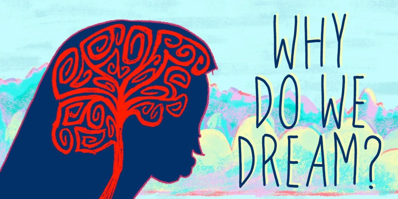 Why do we dream?
