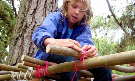 Life Lessons Through Tinkering