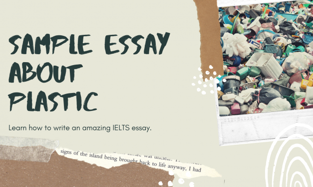 Rubbish: An IELTS Task 2 Sample Essay