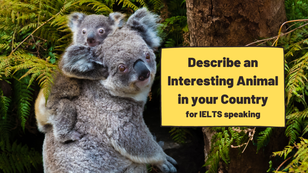 Describe an Interesting Animal in your Country for IELTS speaking