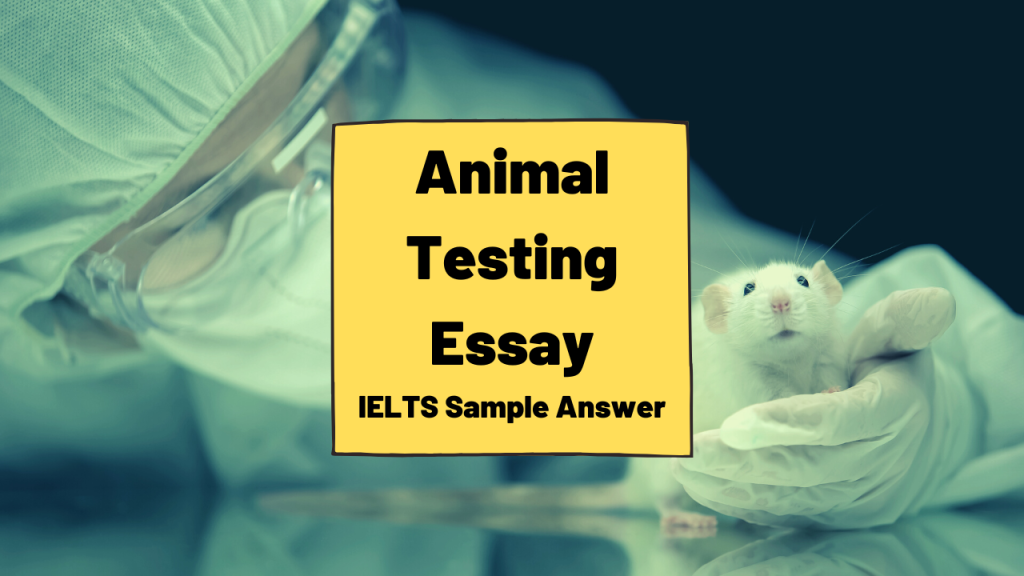 Animal Testing Essay
